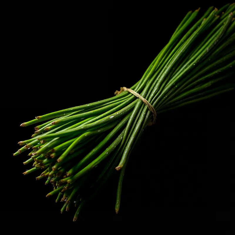 Drumsticks